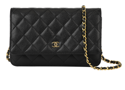 Classic Wallet On Chain, front view